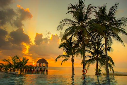 Breathtaking sunset over tropical beach with palm trees and ocean view, capturing serene beauty.